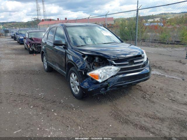  Salvage Honda CR-V