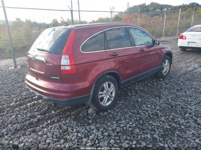 Honda CR-V Ex-l Image 5