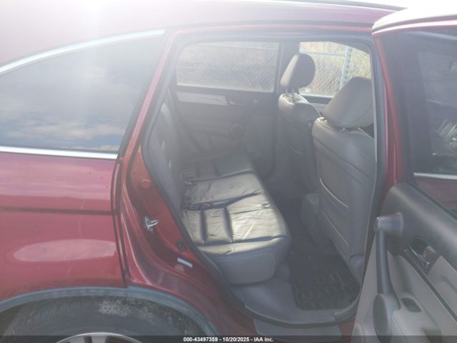 Honda CR-V Ex-l Image 9