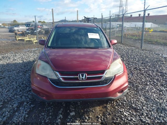 Honda CR-V Ex-l Image 15