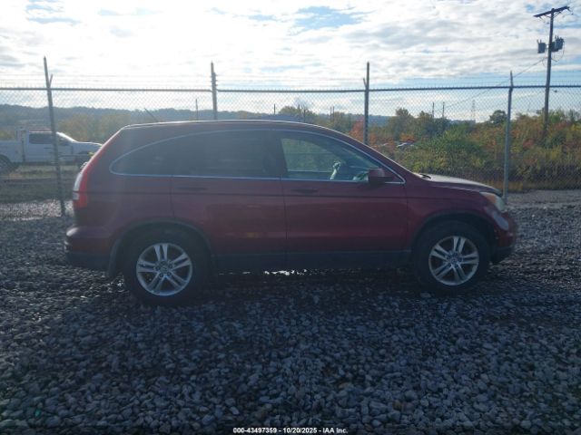 Honda CR-V Ex-l Image 10