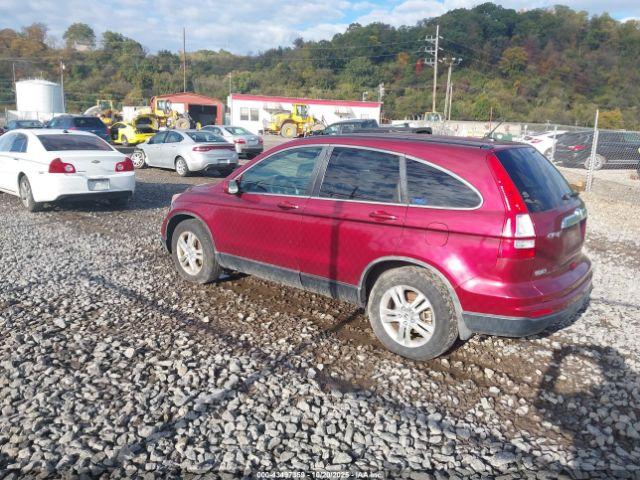 Honda CR-V Ex-l Image 11