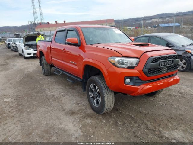 Toyota Tacoma Trd Sport Image 1