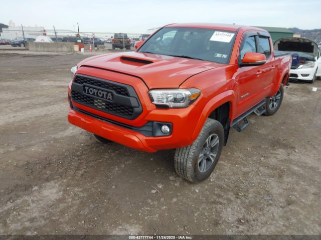 Toyota Tacoma Trd Sport Image 5