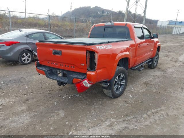 Toyota Tacoma Trd Sport Image 2