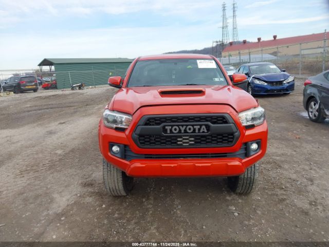 Toyota Tacoma Trd Sport Image 10