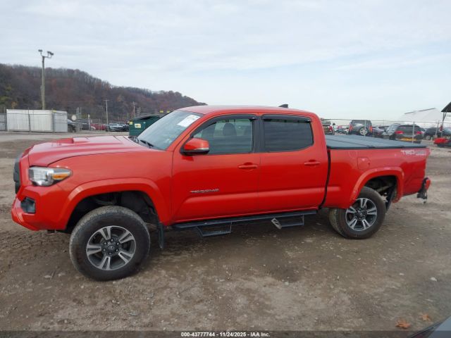 Toyota Tacoma Trd Sport Image 12