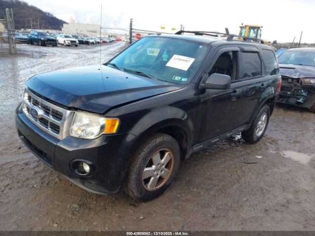 Ford Escape Xlt Image 6