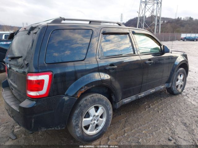 Ford Escape Xlt Image 10