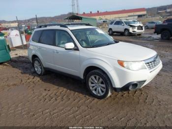  Salvage Subaru Forester