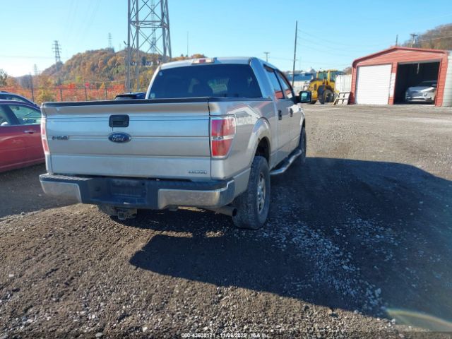 Ford F-150 Xlt Image 4