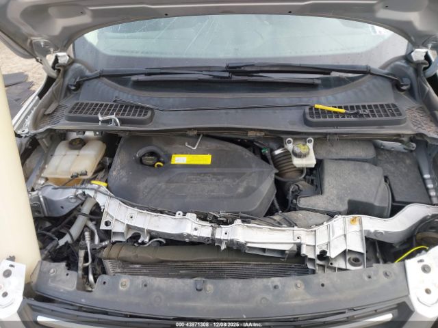 Ford Escape Se Image 8