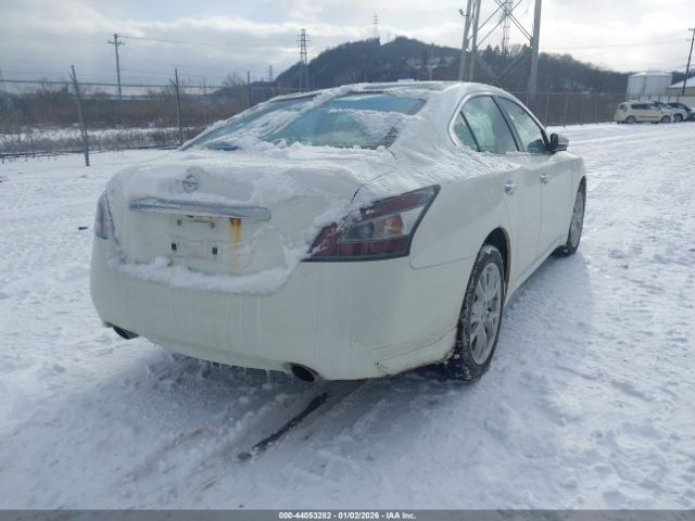 Nissan Maxima 3.5 Sv Image 5