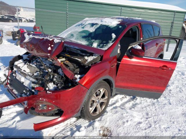 Ford Escape Se Image 3