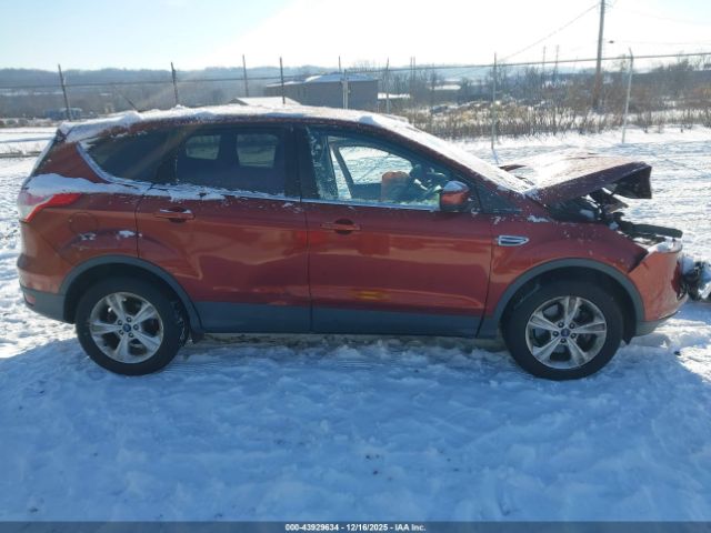 Ford Escape Se Image 14