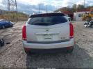 Cadillac SRX Luxury Collection Image 8