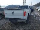 Ford F-150 Xlt Image 7
