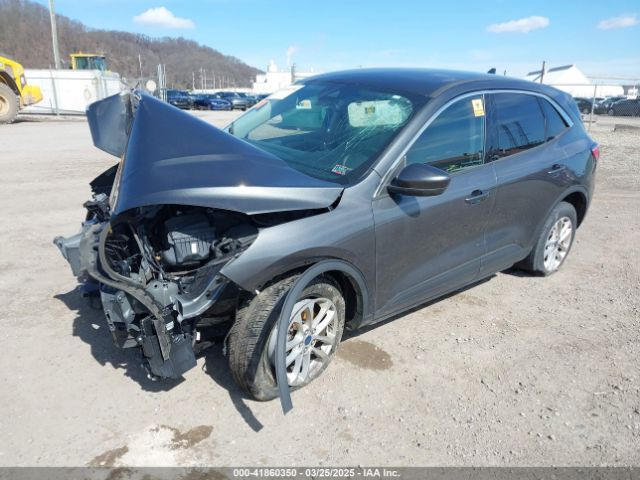 Ford Escape Se Image 8