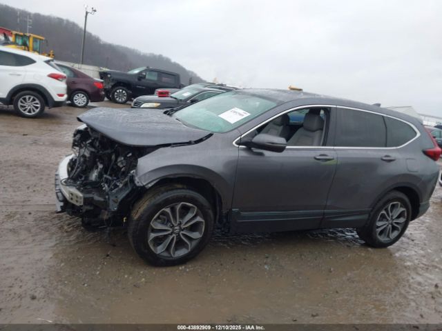 Honda CR-V Awd Ex-l Image 11