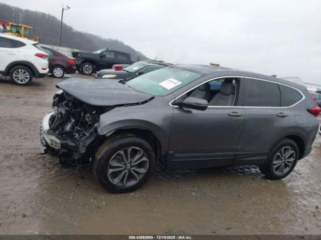 Honda CR-V Awd Ex-l Image 11