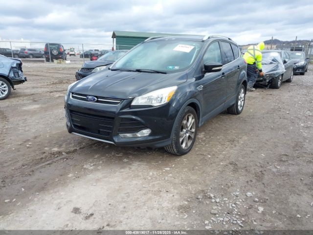 Ford Escape Titanium Image 5