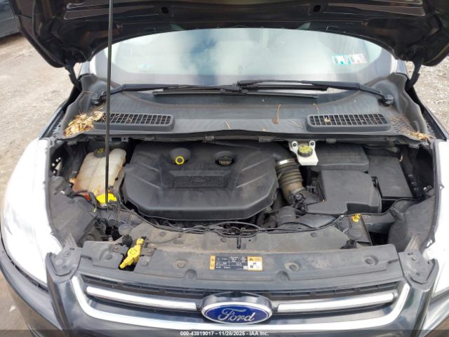 Ford Escape Titanium Image 16