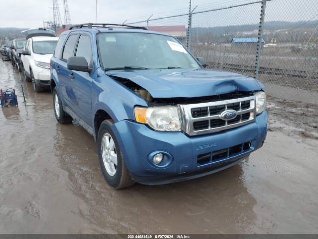 Ford Escape Xlt Image 1