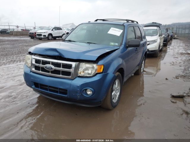 Ford Escape Xlt Image 5