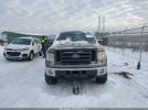 Ford F-150 Xlt Image 5