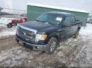 Ford F-150 Xlt Image 6