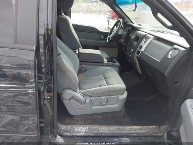 Ford F-150 Xlt Image 7