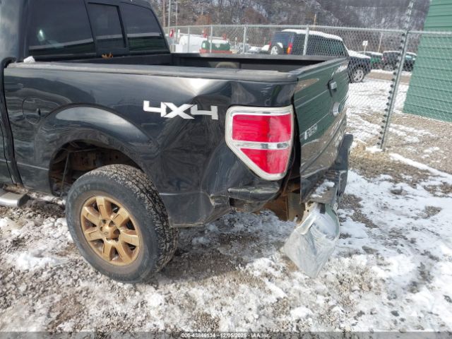 Ford F-150 Xlt Image 4