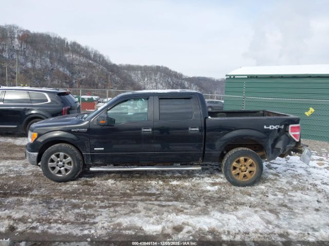 Ford F-150 Xlt Image 11